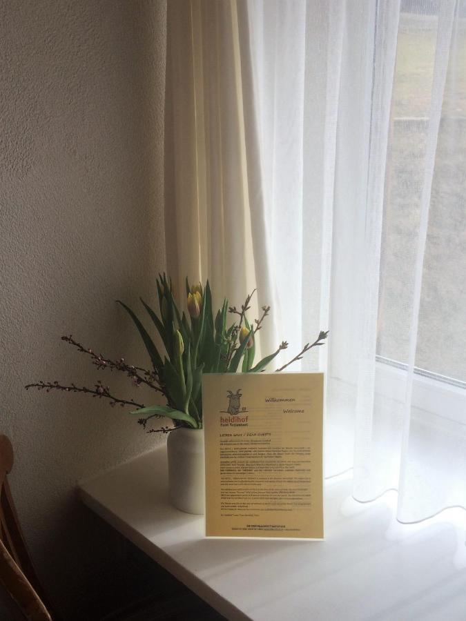 Hotel Restaurant Heidihof Майенфелд Екстериор снимка