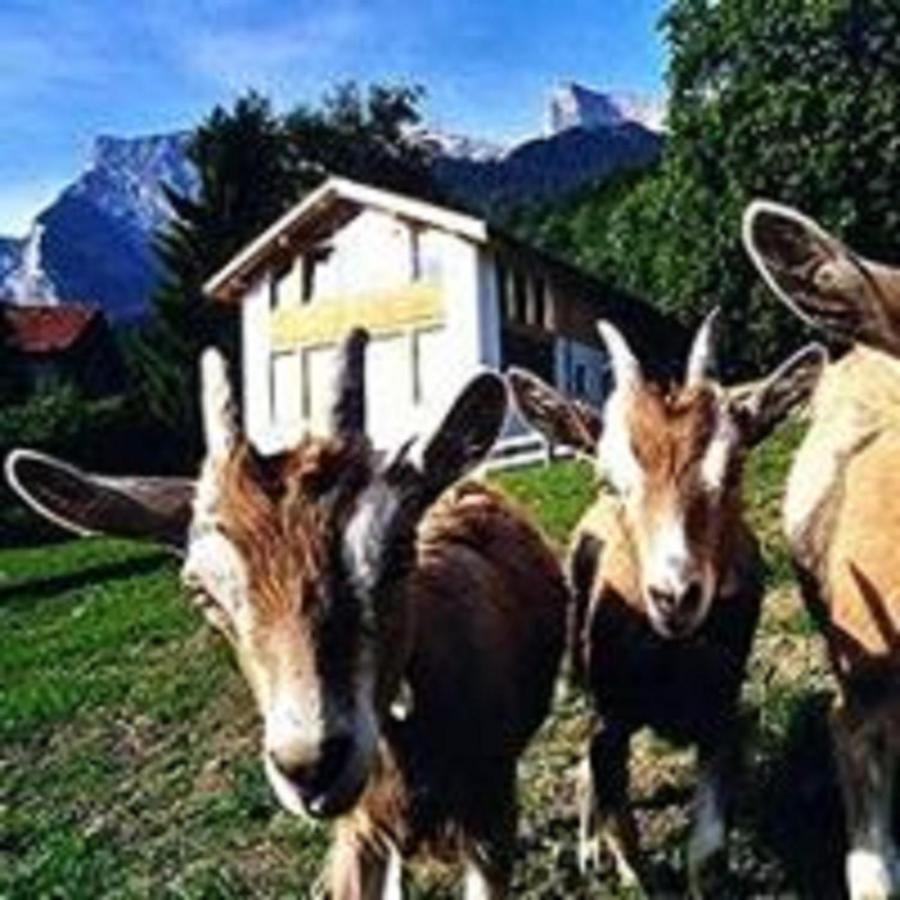 Hotel Restaurant Heidihof Майенфелд Екстериор снимка