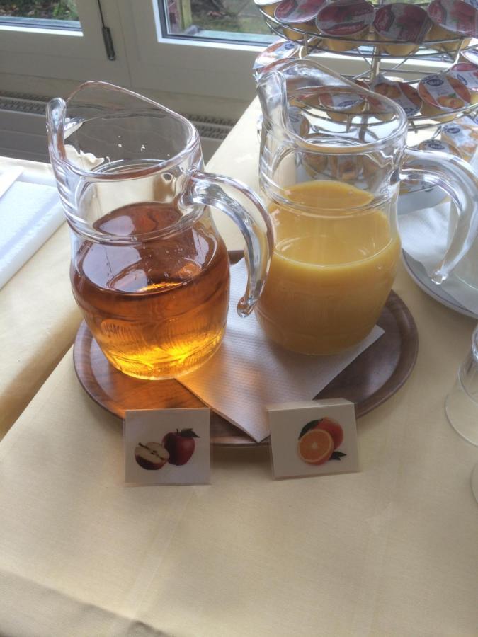 Hotel Restaurant Heidihof Майенфелд Екстериор снимка